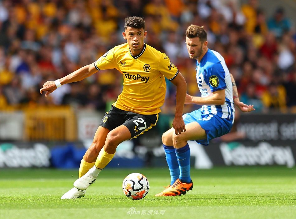 在近年来的 在近年来的